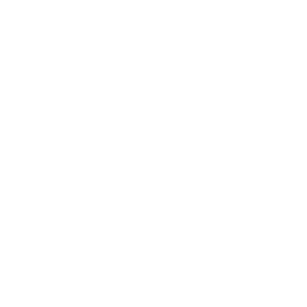 Asia Bridge Advisors Group